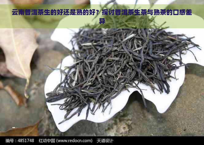 云南普洱茶生的好还是熟的好？探讨普洱茶生茶与熟茶的口感差异