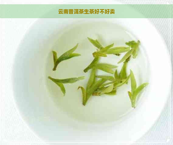 云南普洱茶生茶好不好卖