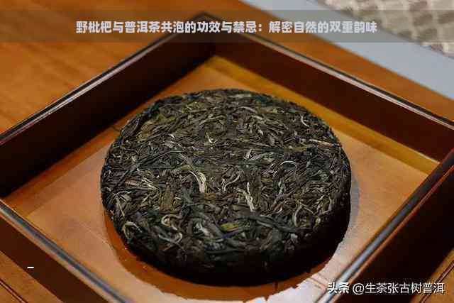 野枇杷与普洱茶共泡的功效与禁忌：解密自然的双重韵味