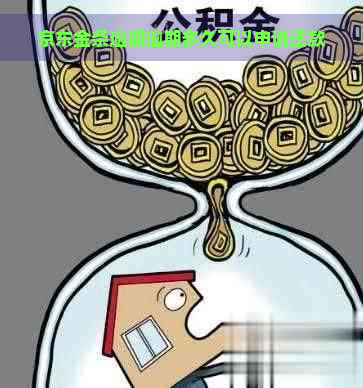 京东金条逾期逾期多久可以申请还款