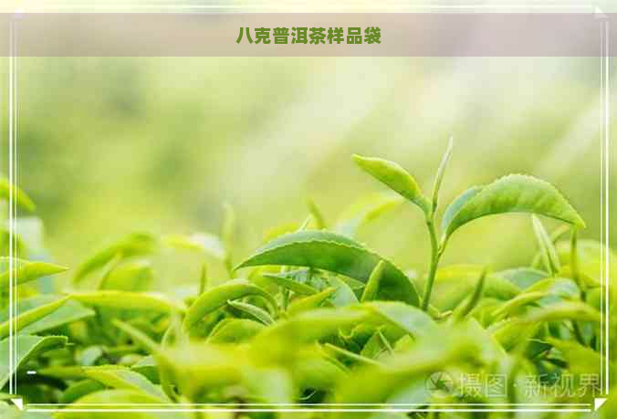 八克普洱茶样品袋