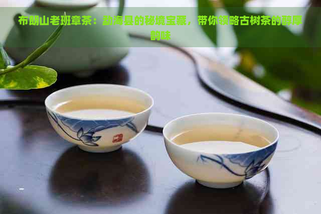 布朗山老班章茶：勐海县的秘境宝藏，带你领略古树茶的醇厚韵味