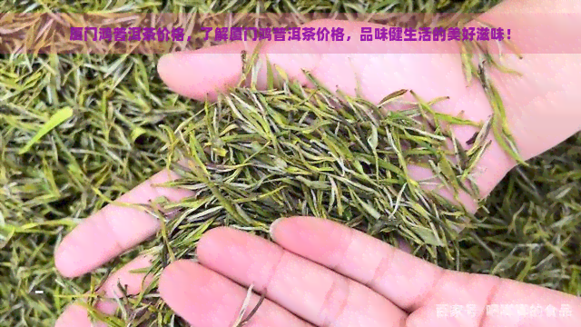 厦门鸿普洱茶价格，了解厦门鸿普洱茶价格，品味健生活的美好滋味！