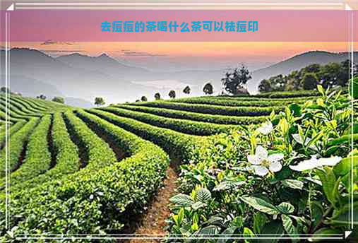 去痘痘的茶喝什么茶可以祛痘印