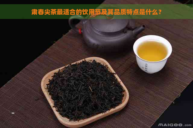 肃春尖茶最适合的饮用节及其品质特点是什么？