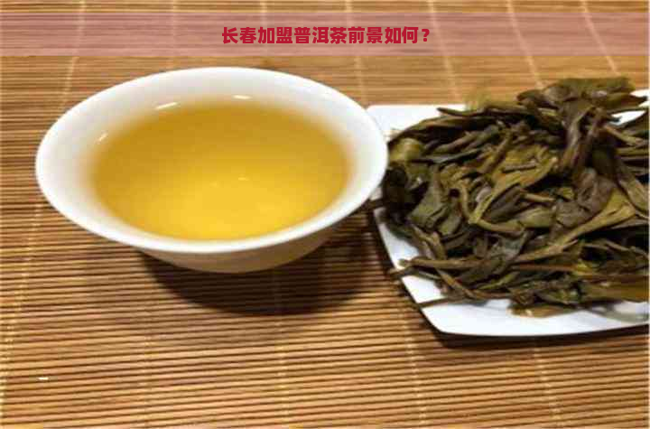 长春加盟普洱茶前景如何？