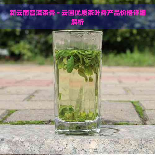 新云南普洱茶膏 – 云园优质茶叶膏产品价格详细解析