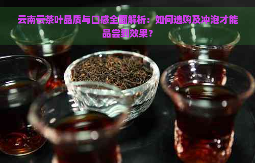 云南云茶叶品质与口感全面解析：如何选购及冲泡才能品尝到效果？