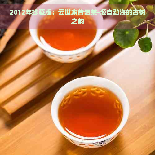 2012年珍藏版：云世家普洱茶-源自勐海的古树之韵