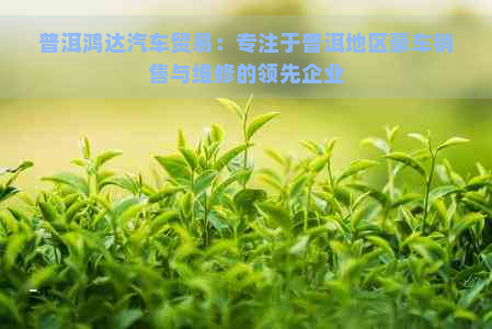 普洱鸿达汽车贸易：专注于普洱地区豪车销售与维修的领先企业