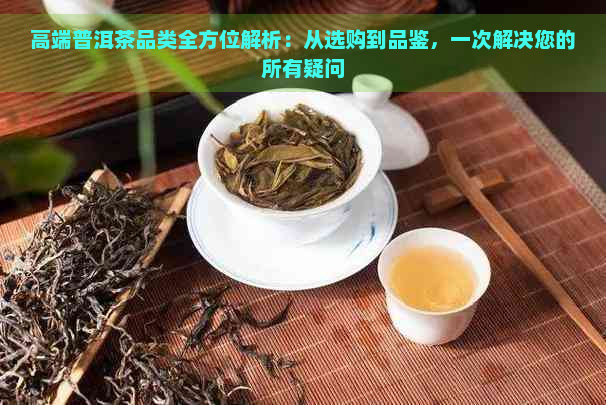 高端普洱茶品类全方位解析：从选购到品鉴，一次解决您的所有疑问