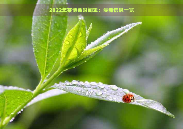 2022年茶博会时间表：最新信息一览