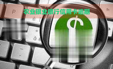 农业银业银行信用卡逾期