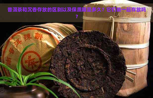 普洱茶和沉香存放的区别以及保质期是多久？它们能一起存放吗？