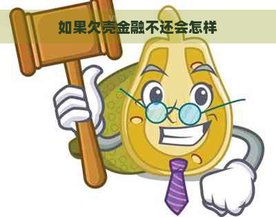 如果欠壳金融不还会怎样