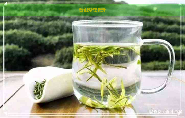 普洱茶在贵州