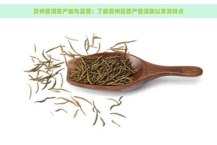 贵州普洱茶产地与品质：了解贵州是否产普洱茶以及其特点