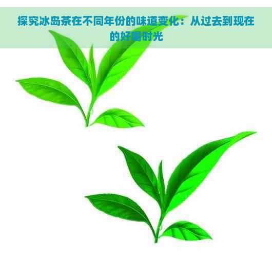 探究冰岛茶在不同年份的味道变化：从过去到现在的好喝时光