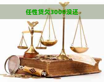 任性贷欠3000没还