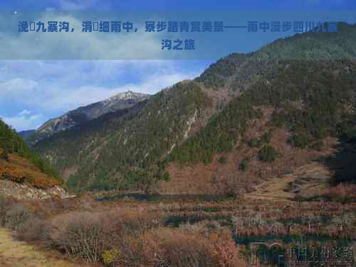 浼湧九寨沟，涓滃细雨中，寮步踏青赏美景——雨中漫步四川九寨沟之旅