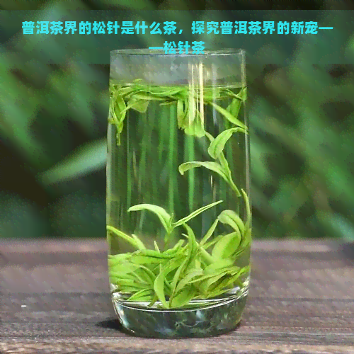 普洱茶界的松针是什么茶，探究普洱茶界的新宠——松针茶