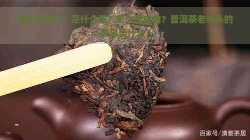 老树头茶叶：是什么茶？怎么形成的？普洱茶老树头的意思是什么？