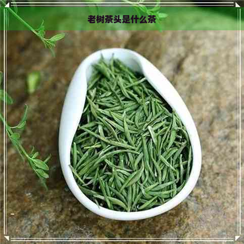 老树茶头是什么茶