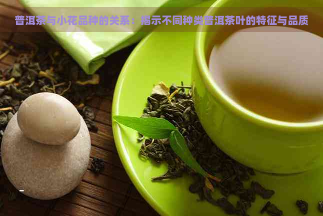 普洱茶与小花品种的关系：揭示不同种类普洱茶叶的特征与品质