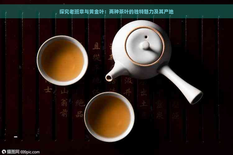 探究老班章与黄金叶：两种茶叶的独特魅力及其产地