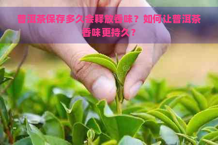 普洱茶保存多久会释放香味？如何让普洱茶香味更持久？