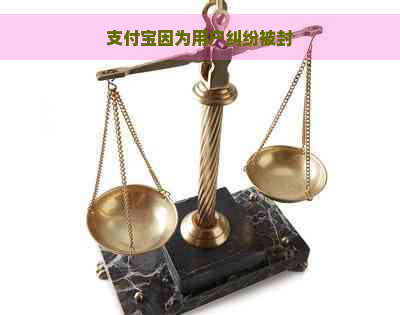 支付宝因为用户纠纷被封