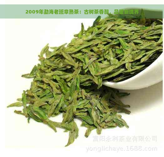 2009年勐海老班章熟茶：古树茶香醇，品鉴新境界