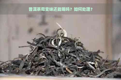 普洱茶霉变味还能喝吗？如何处理？