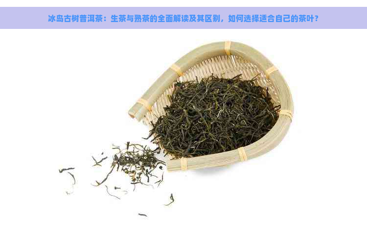 冰岛古树普洱茶：生茶与熟茶的全面解读及其区别，如何选择适合自己的茶叶？