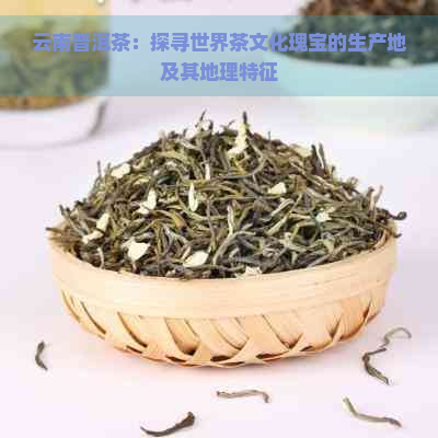 云南普洱茶：探寻世界茶文化瑰宝的生产地及其地理特征