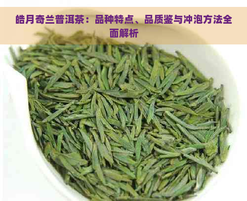 皓月奇兰普洱茶：品种特点、品质鉴与冲泡方法全面解析