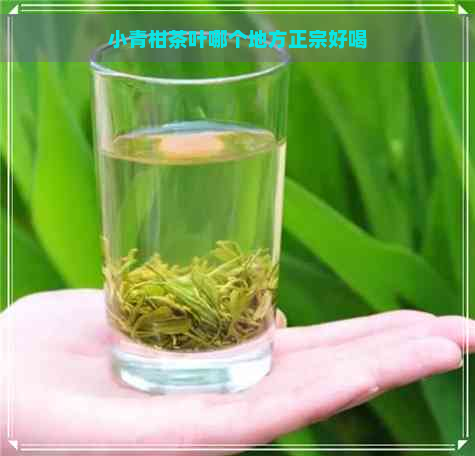 小青柑茶叶哪个地方正宗好喝