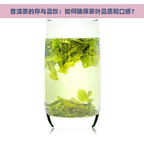 普洱茶的存与品饮：如何确保茶叶品质和口感？