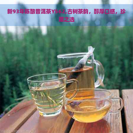 新93年陈酿普洱茶Y562,古树茶韵，醇厚口感，珍藏之选