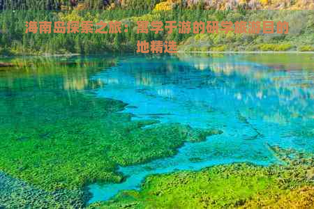 海南岛探索之旅：寓学于游的研学旅游目的地精选