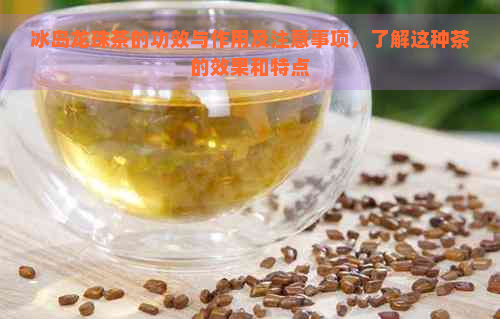 冰岛龙珠茶的功效与作用及注意事项，了解这种茶的效果和特点