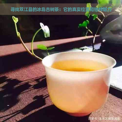 寻找双江县的冰岛古树茶：它的真实位置和独特魅力