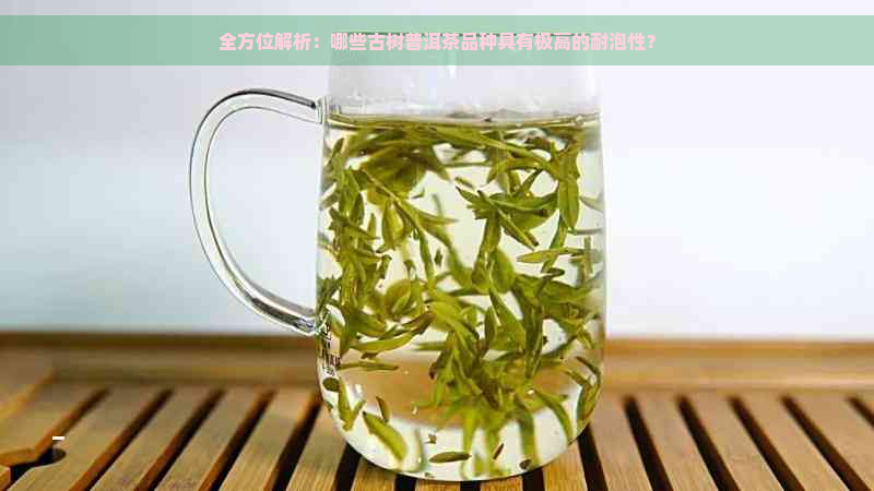 全方位解析：哪些古树普洱茶品种具有极高的耐泡性？