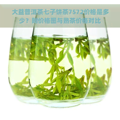 大益普洱茶七子饼茶7572价格是多少？附价格图与熟茶价格对比