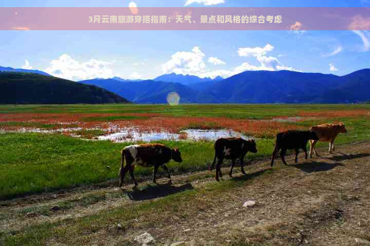 3月云南旅游穿搭指南：天气、景点和风格的综合考虑