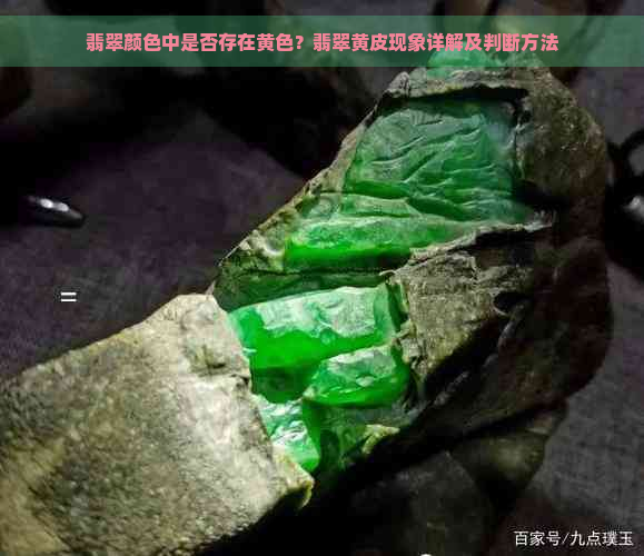 翡翠颜色中是否存在黄色？翡翠黄皮现象详解及判断方法