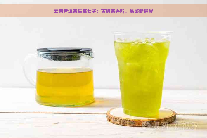 云南普洱茶生茶七子：古树茶香韵，品鉴新境界