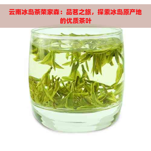 云南冰岛茶荣家森：品茗之旅，探索冰岛原产地的优质茶叶