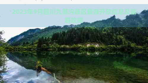 2023年9月四川九寨沟景区最新开放信息及旅游攻略