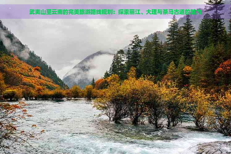 武夷山至云南的完美旅游路线规划：探索丽江、大理与茶马古道的魅力